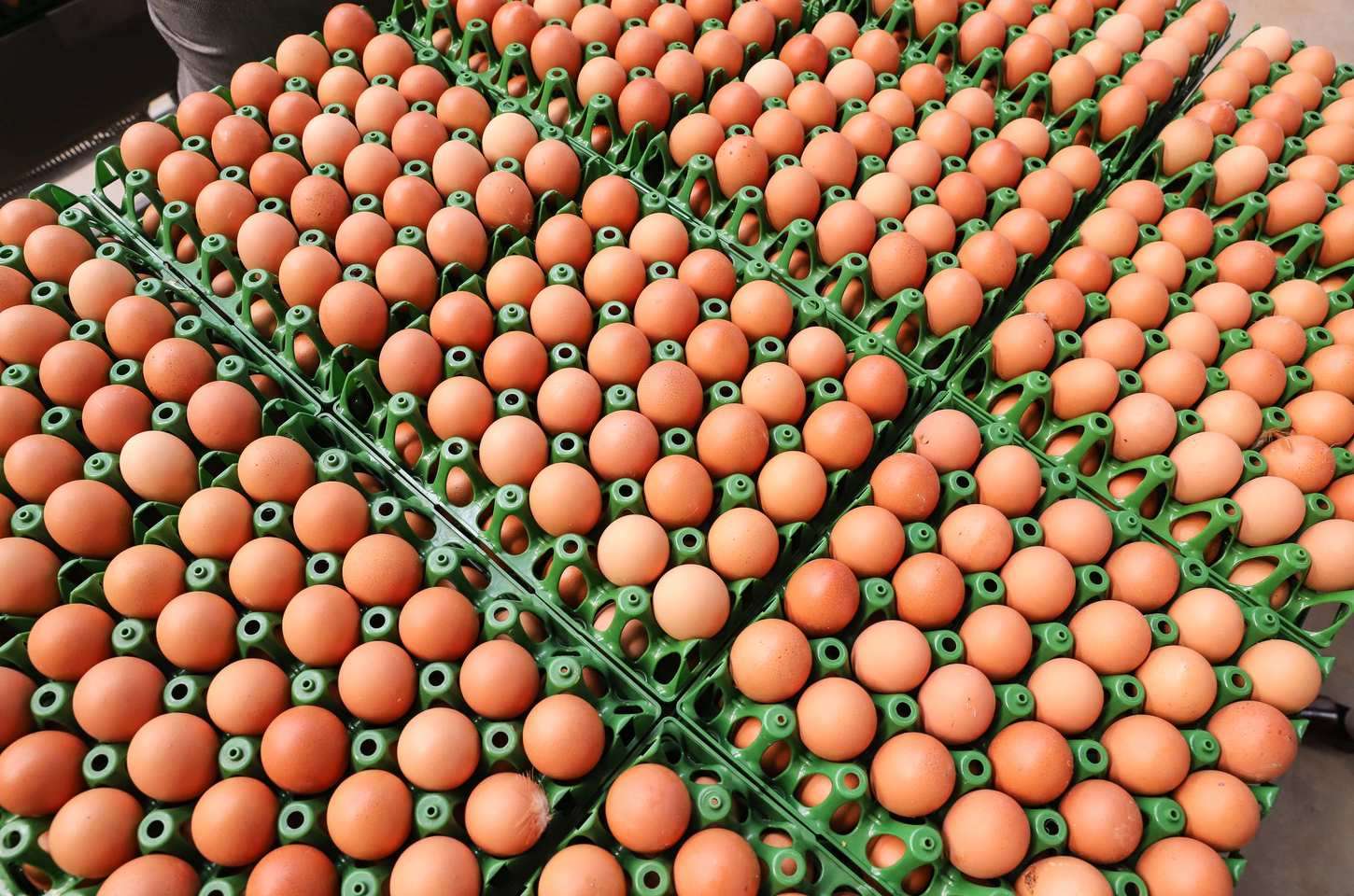 Preços de alimentos e bebidas caem pelo segundo mês consecutivo no Paraná