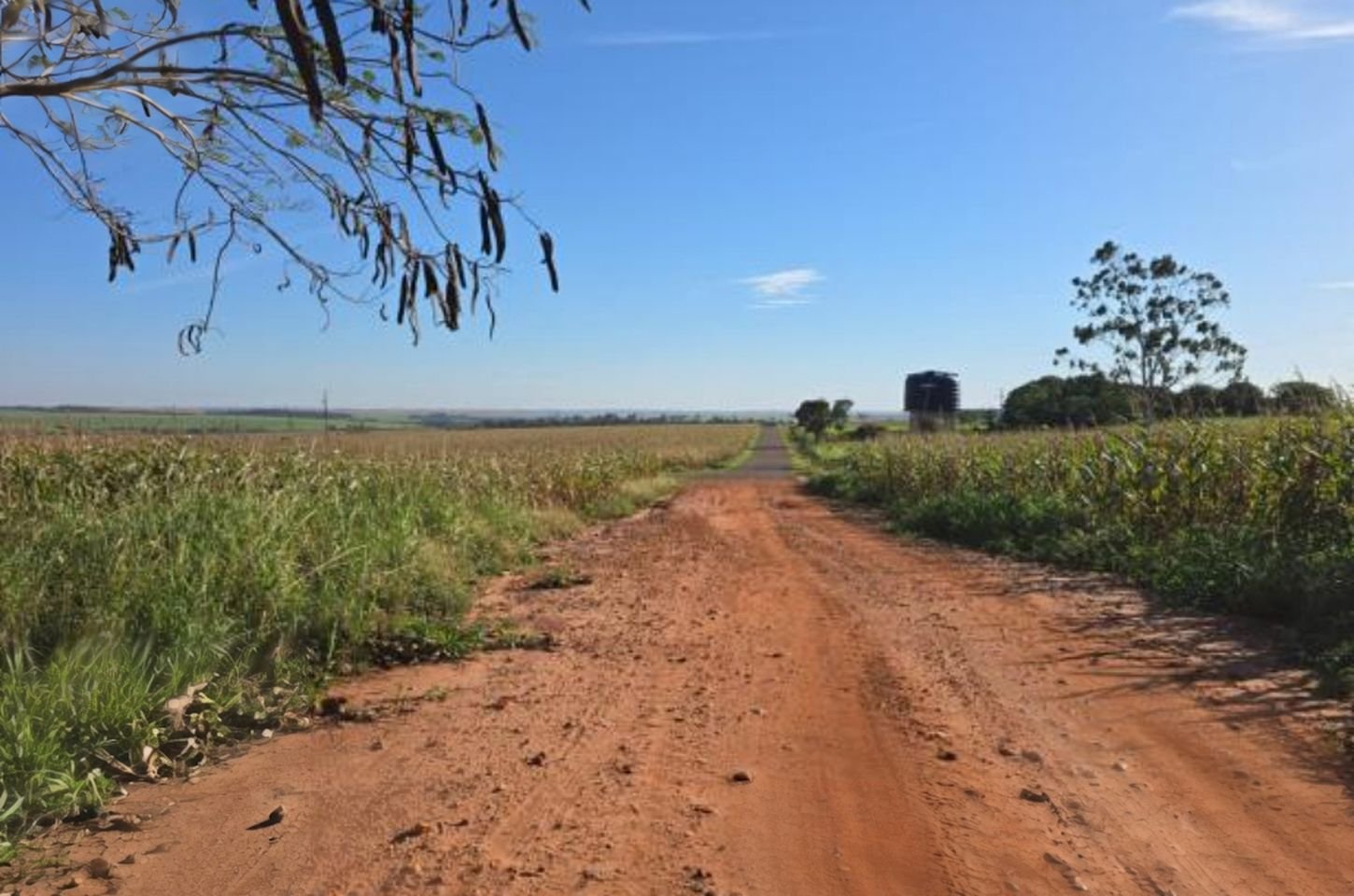 Prefeitura de Francisco Alves pavimenta estrada rural com investimento de R$ 10,3 milhões