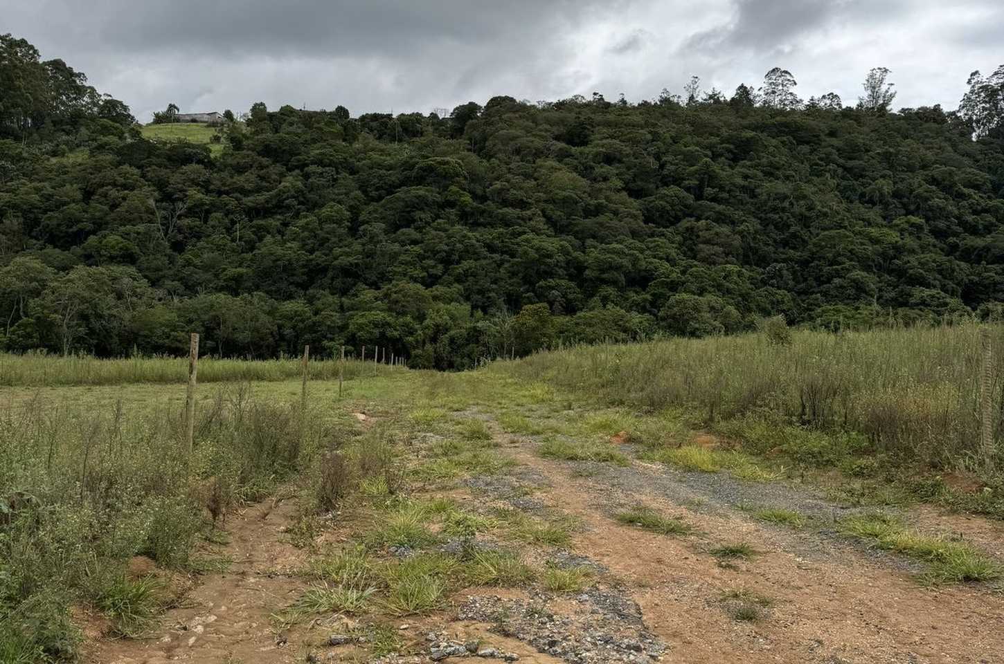 Prefeitura de Ibiúna embarga três loteamentos clandestinos em fiscalização