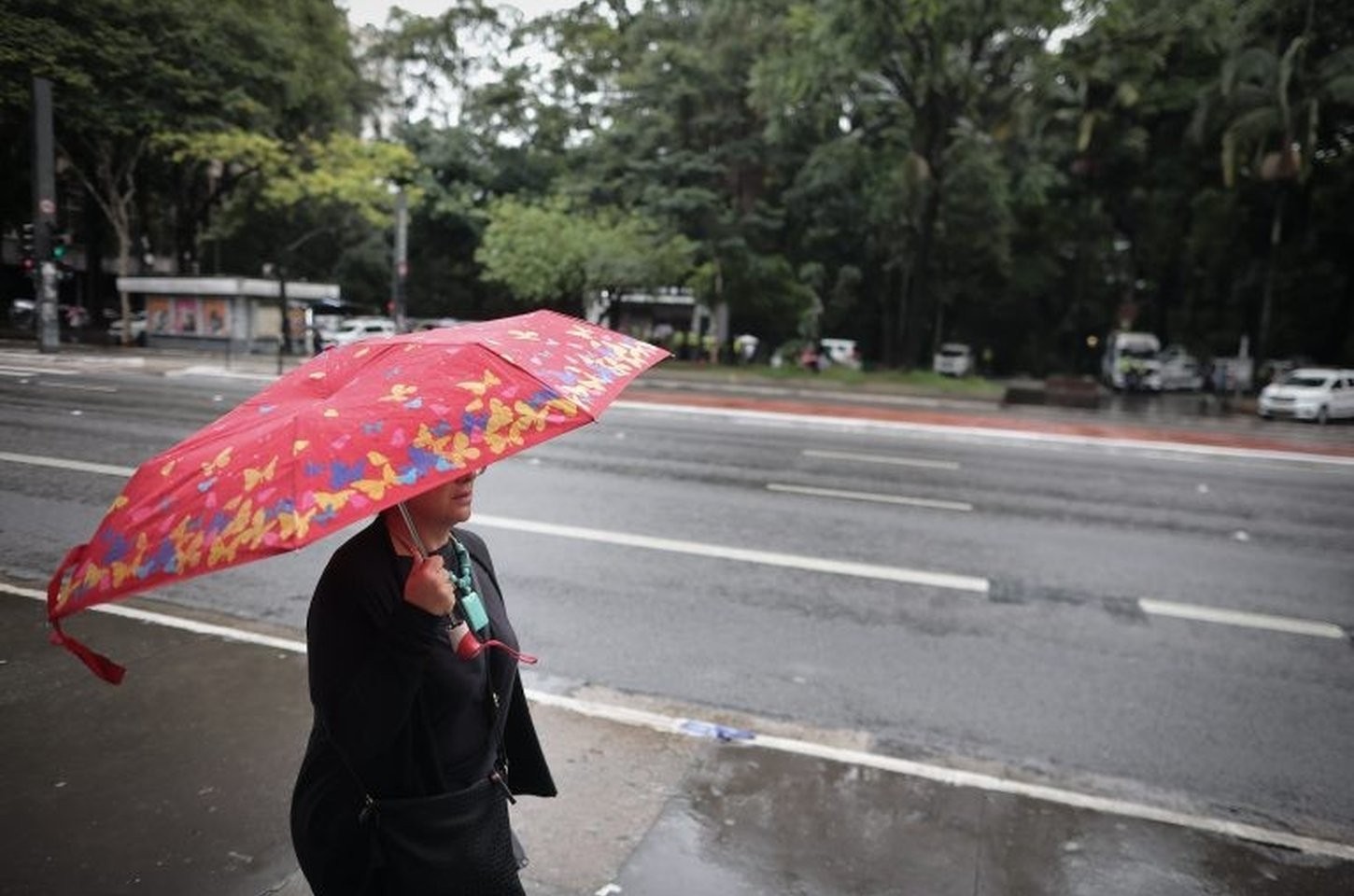 Previsão do tempo: domingo tem sol, pancadas de chuva e risco de transtornos em SP