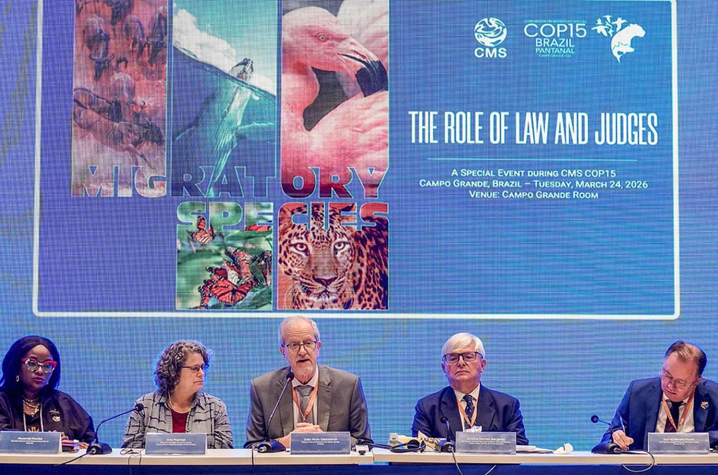 Primeira vara ambiental do Pantanal é anunciada na COP15 em Campo Grande