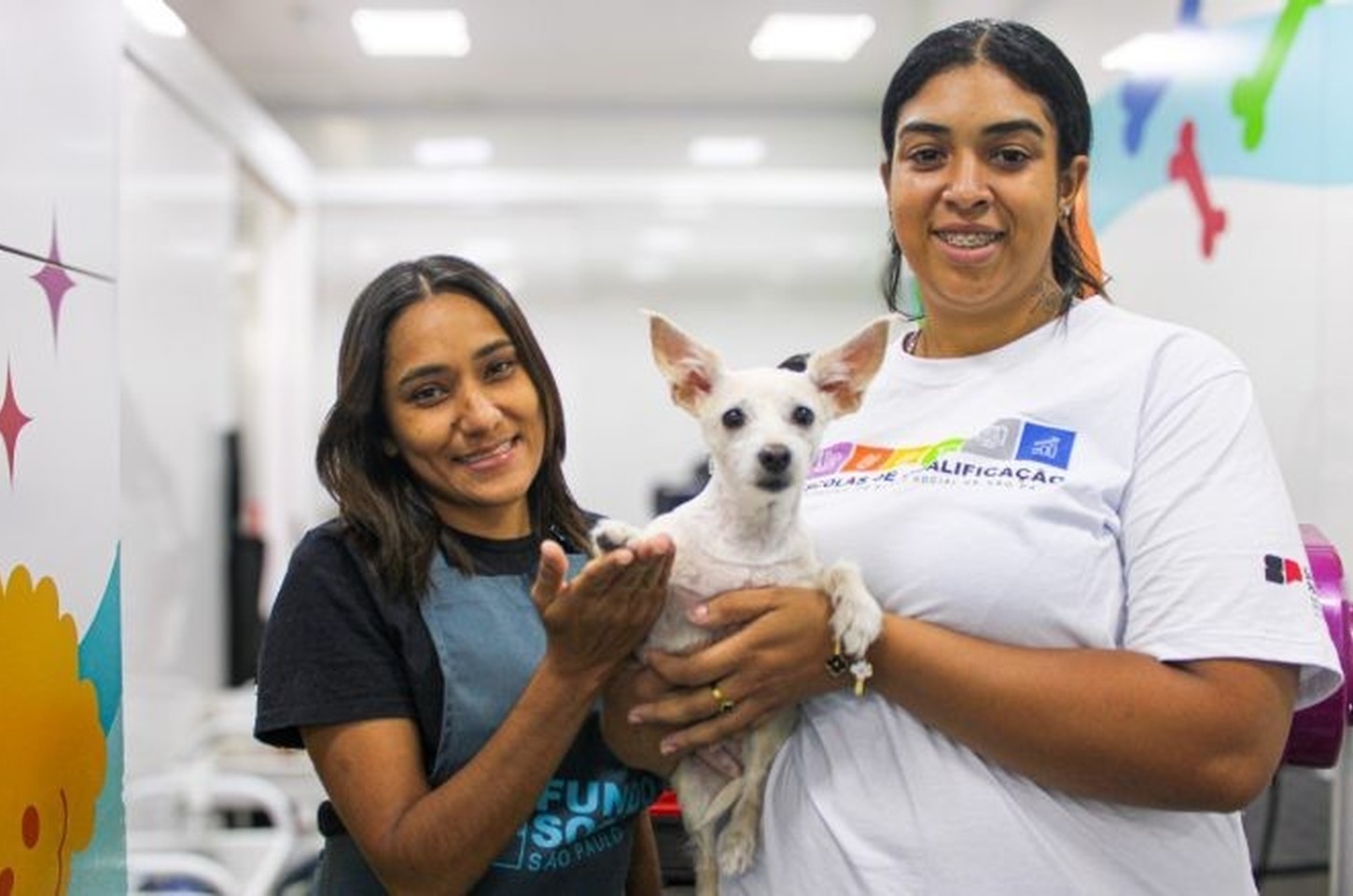 Pro Pet SP: programa estadual já realizou mais de 14 mil castrações gratuitas