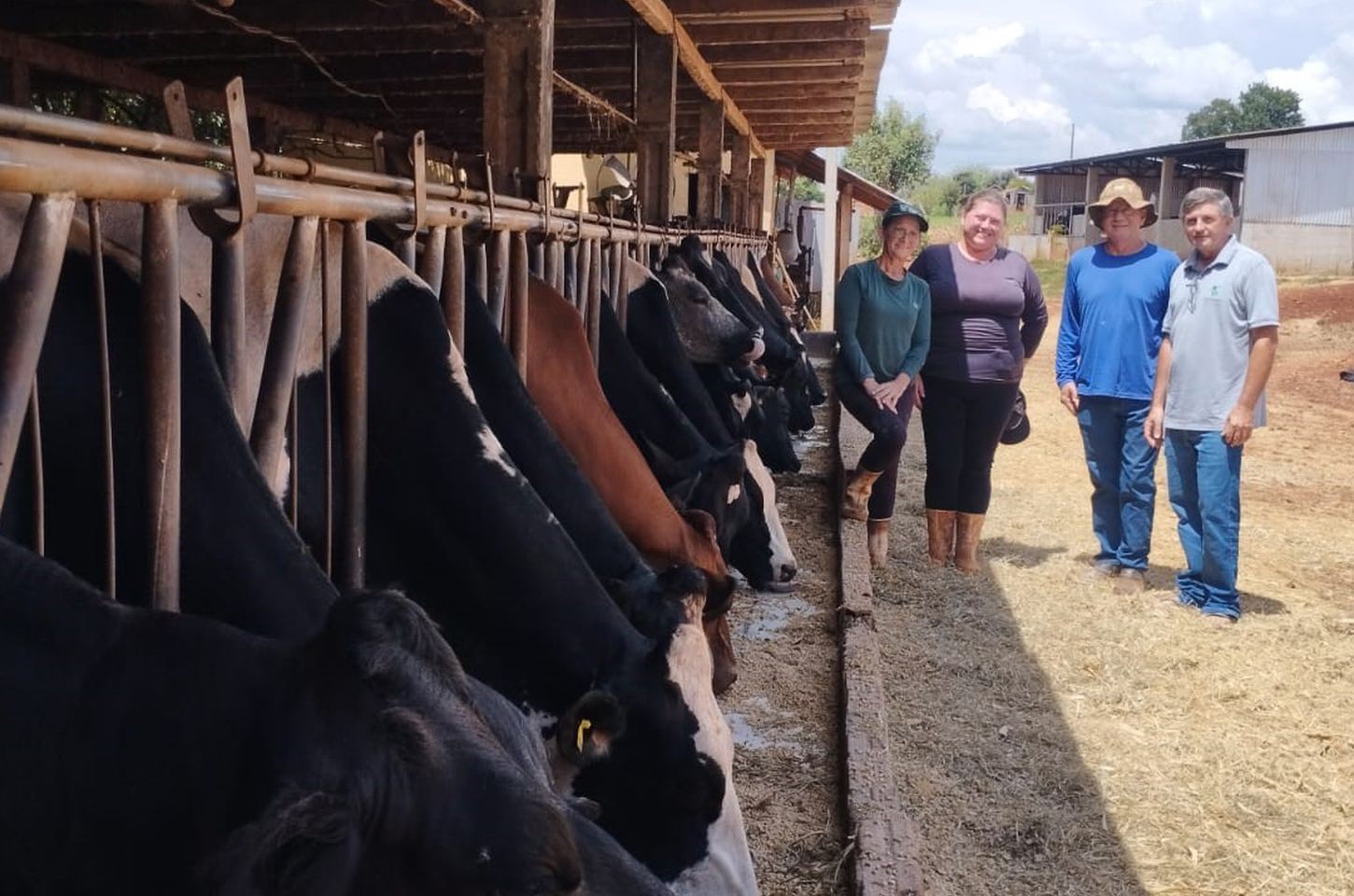 Programa de Itaipu transforma a vida de produtores de leite no Paraná