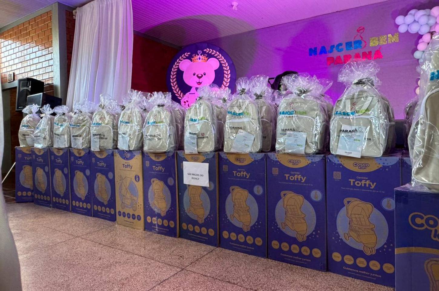 Programa Nascer Bem Paraná inicia entrega de kits para gestantes em 2026