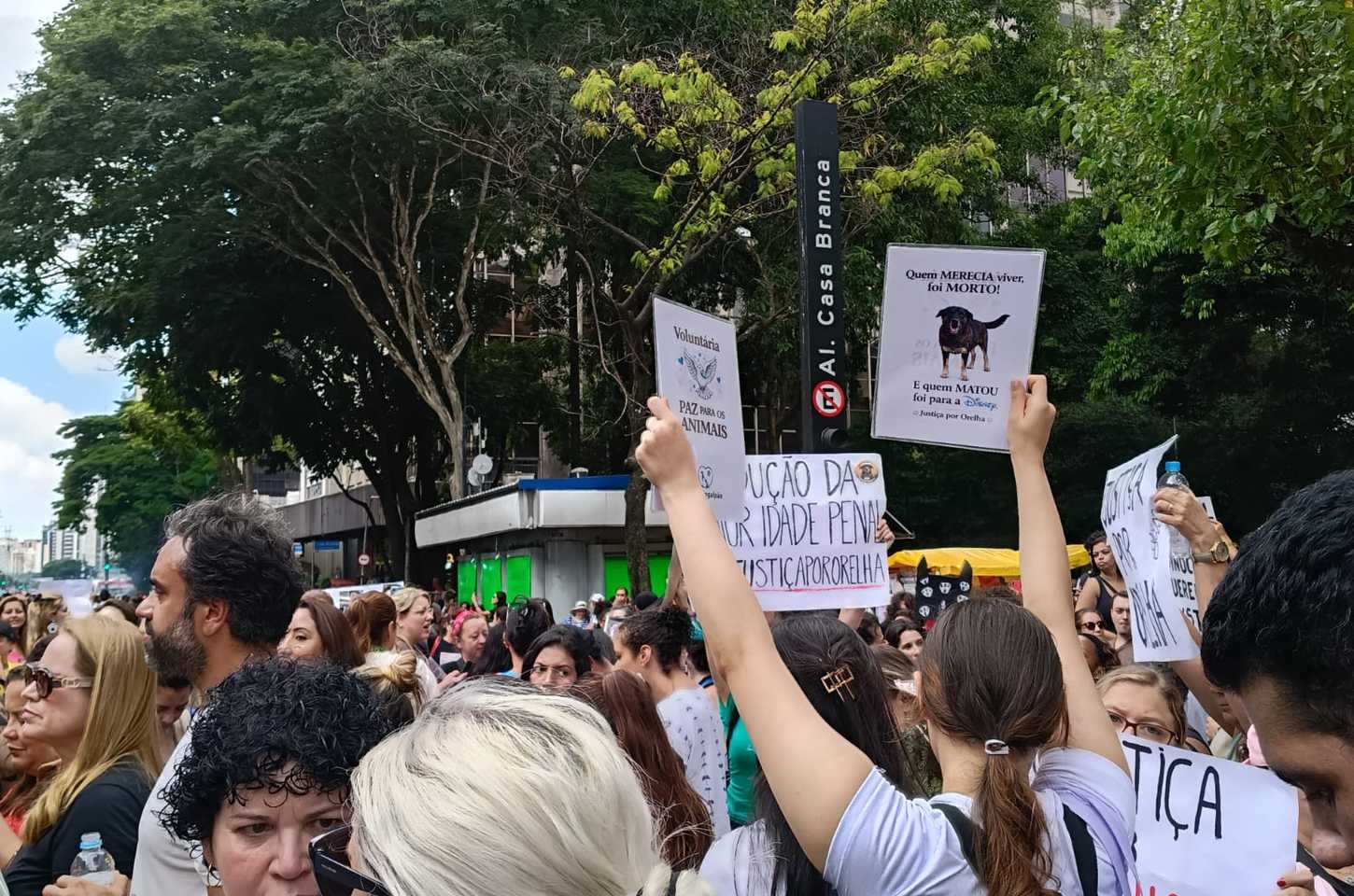 Protesto na Paulista exige justiça por morte do cão Orelha em Santa Catarina