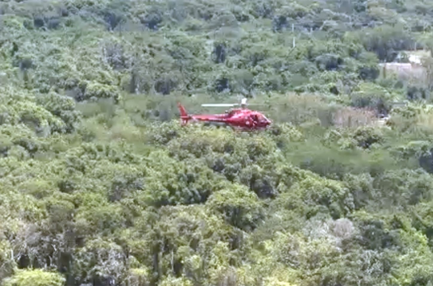 Queda de helicóptero mata três em mata fechada de Guaratiba, no Rio