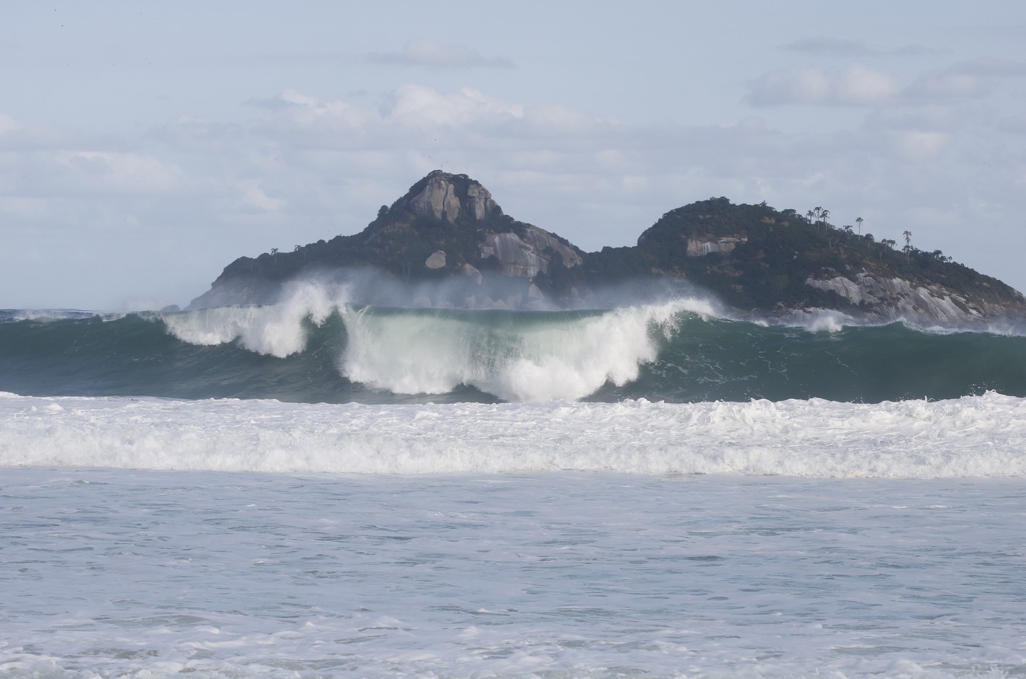 Rio de Janeiro sedia encontro internacional sobre proteção do alto-mar