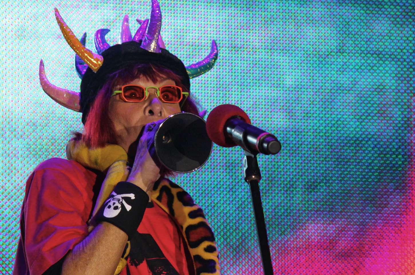 Rita Lee, a padroeira da liberdade, será enredo da Mocidade no carnaval