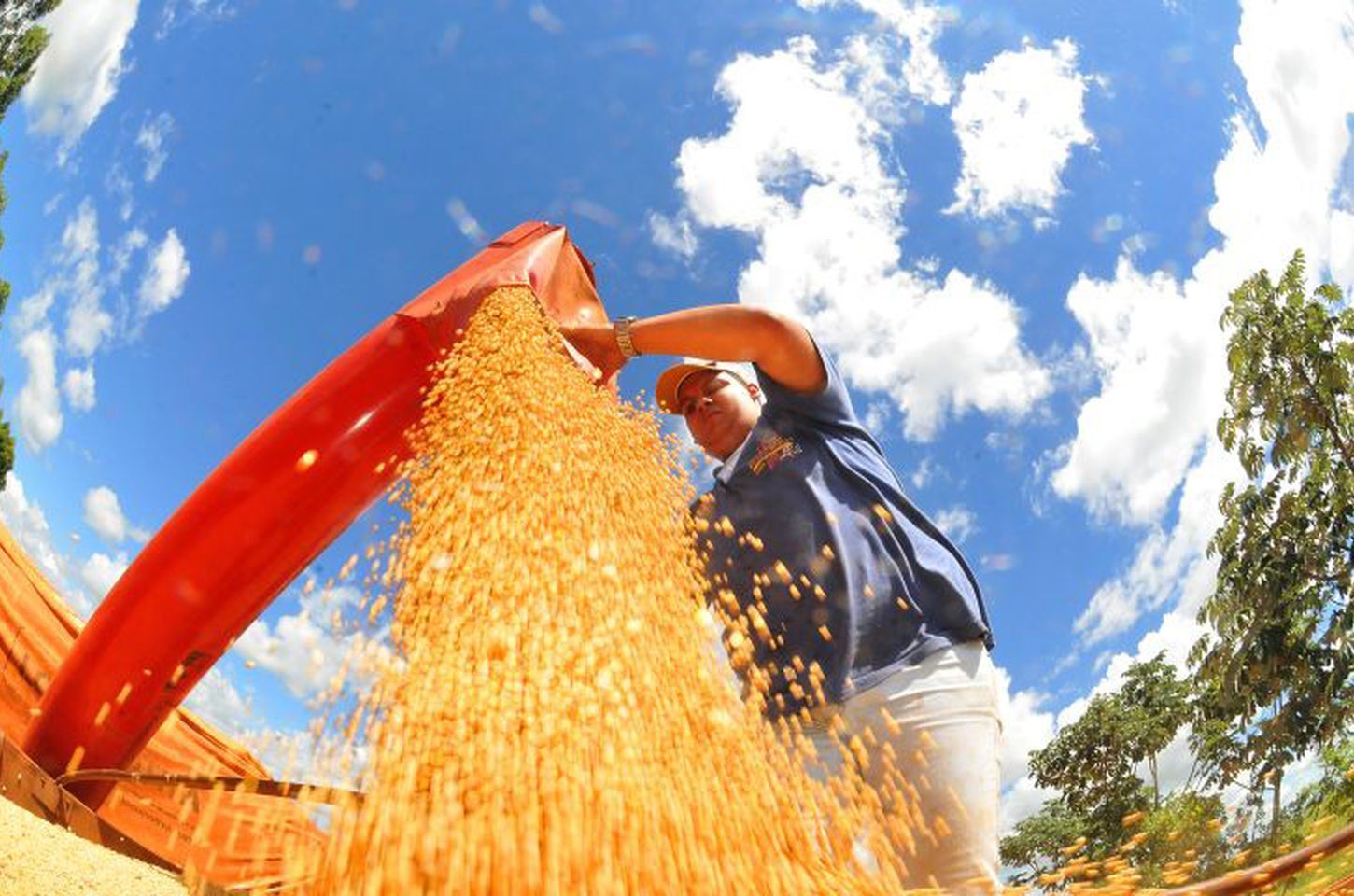 Safra de grãos deve recuar 3,7% em 2026 após ano recorde, aponta IBGE