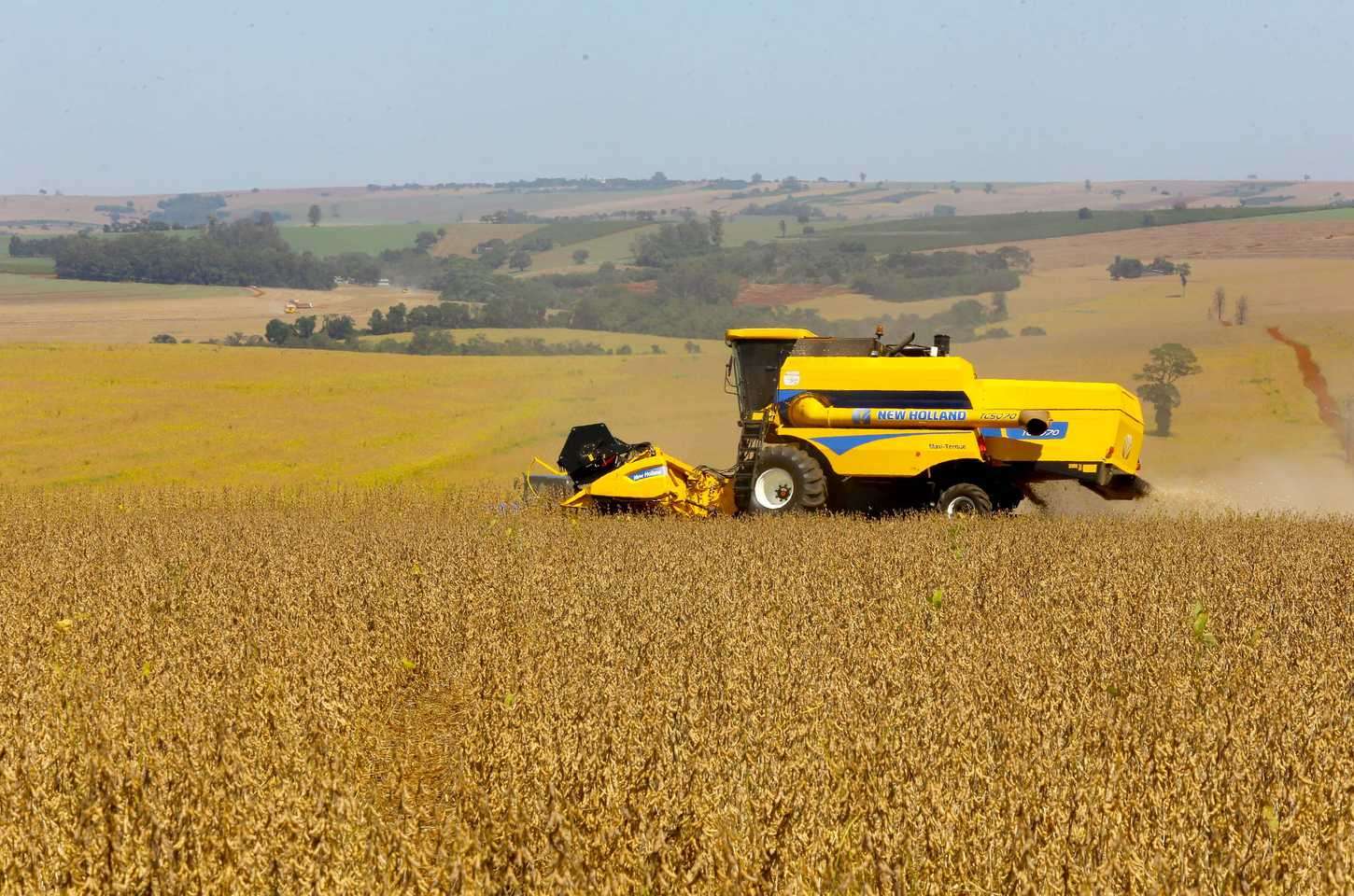 Safra recorde de soja impulsiona agricultura paranaense em 2026