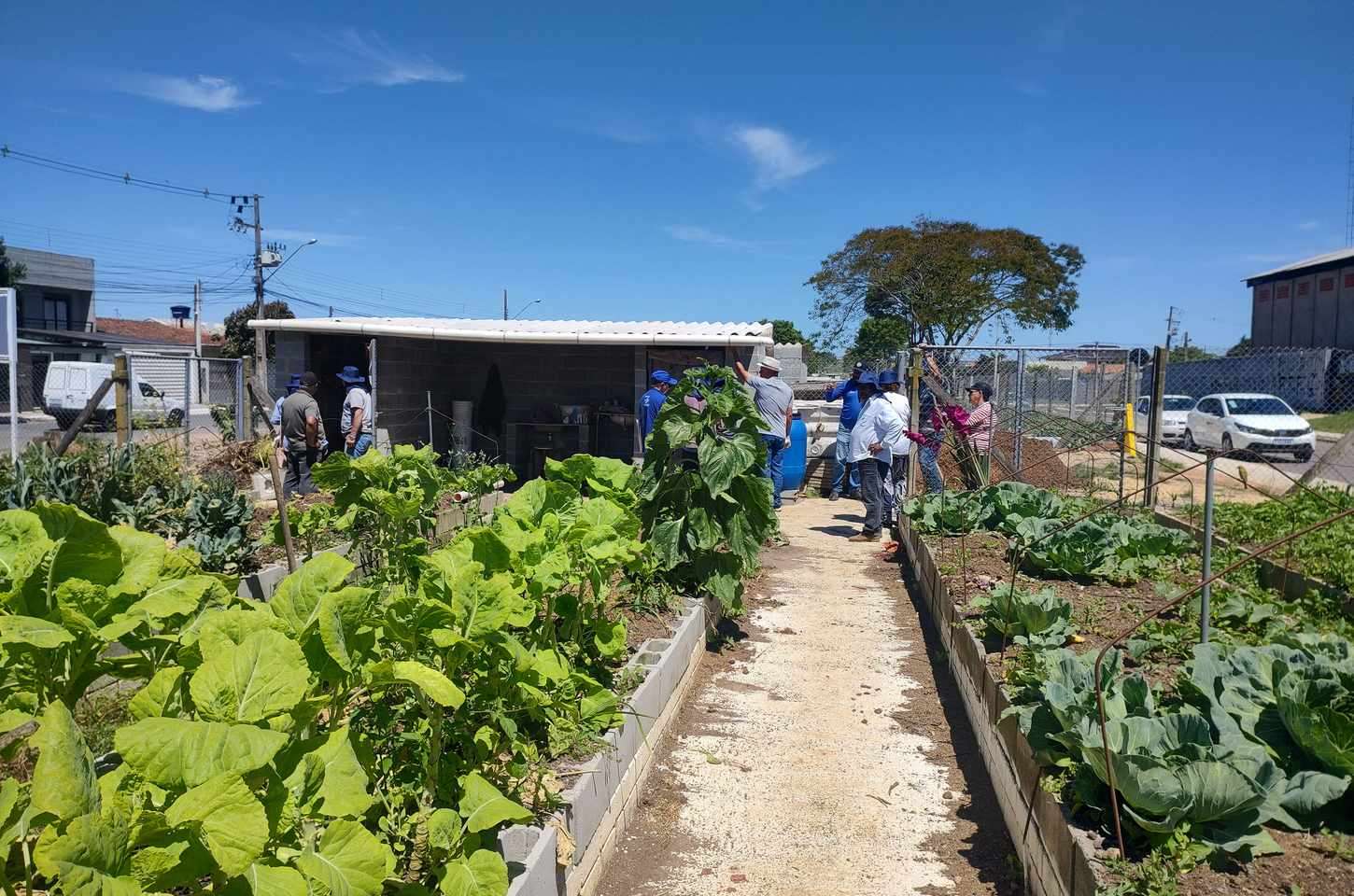 Sanepar promove oficinas socioambientais em horta comunitária de Fazenda Rio Grande