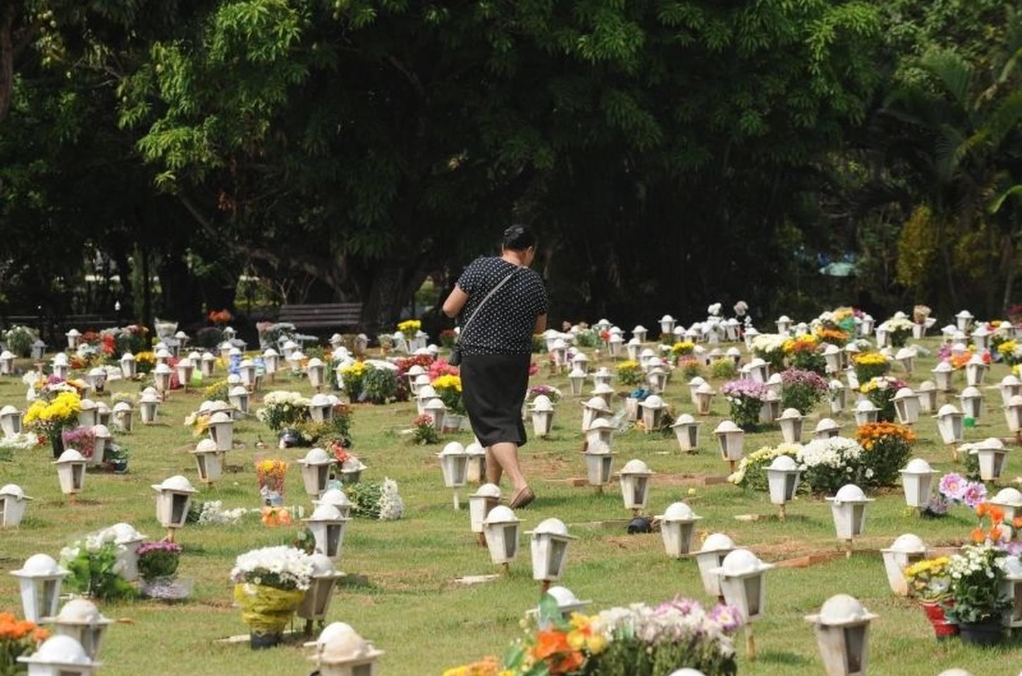 São Paulo autoriza enterro de cães e gatos em jazigos familiares