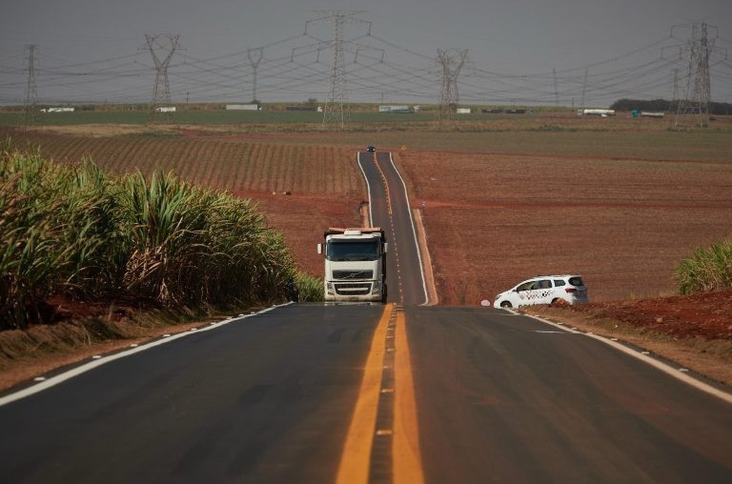 São Paulo moderniza sistema de transporte animal e vegetal