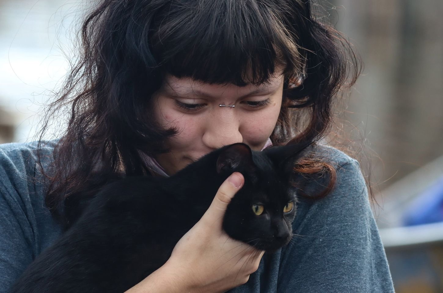 São Paulo oferece castração gratuita de cães e gatos; saiba como solicitar