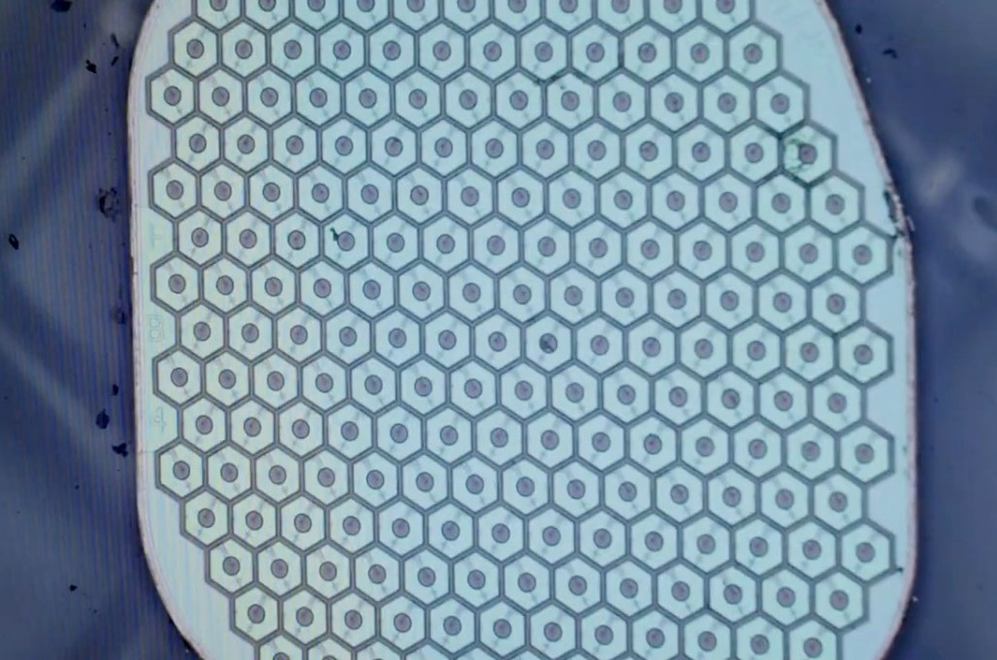 Science Corp inicia testes humanos de interface cérebro-computador biohíbrida