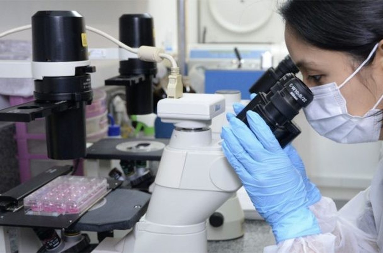 Sensor brasileiro detecta câncer de pâncreas em estágios iniciais