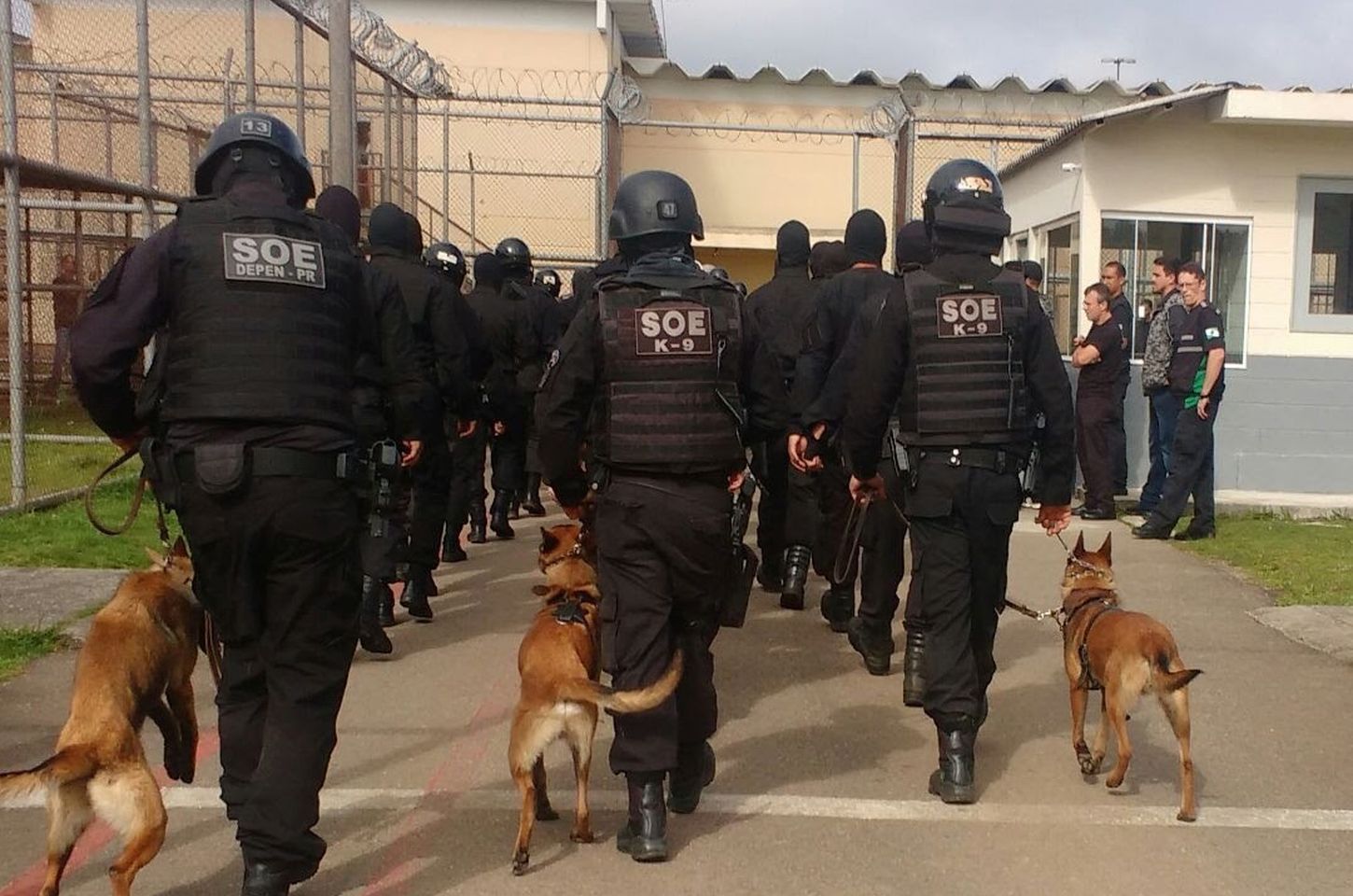 Setor de Operações Especiais da Polícia Penal do Paraná completa 12 anos