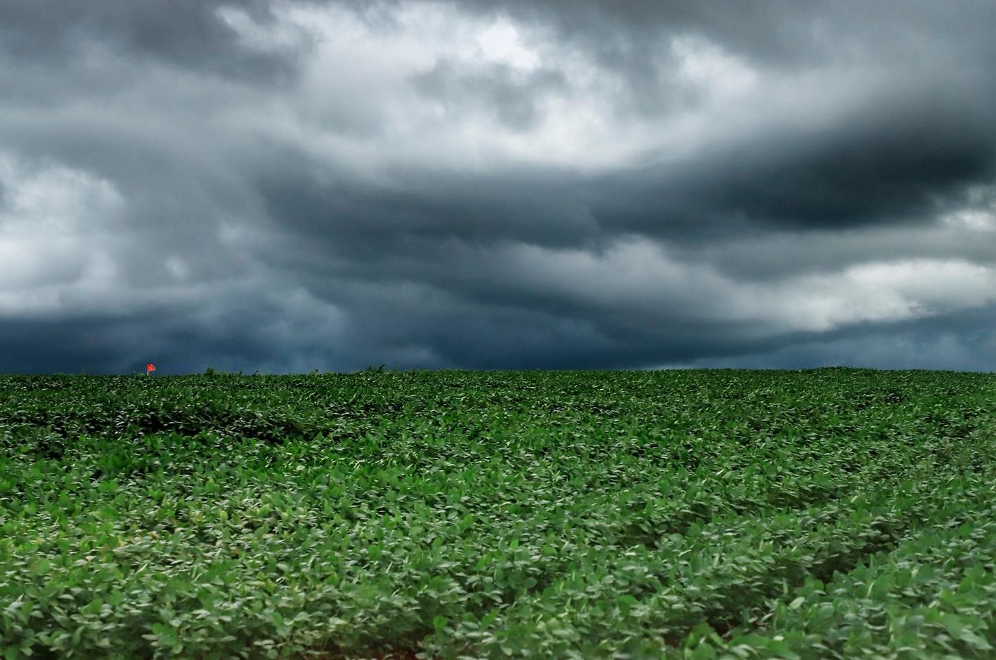 Tempestades atingem o Paraná com chuvas intensas e ventos fortes