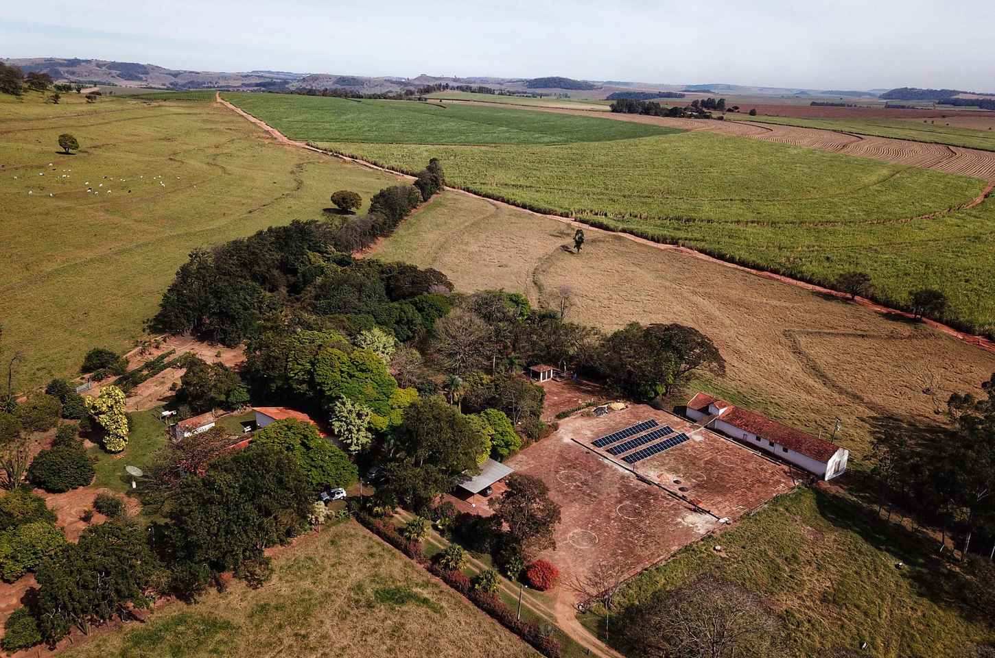 TRF4 mantém aplicação do Código Florestal no Paraná