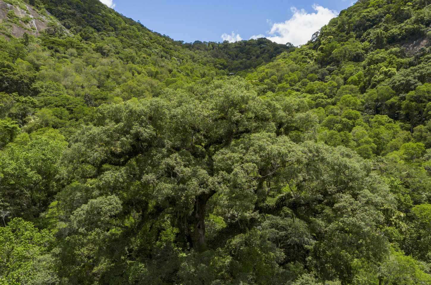 TV Brasil investe em produções sobre natureza e meio ambiente