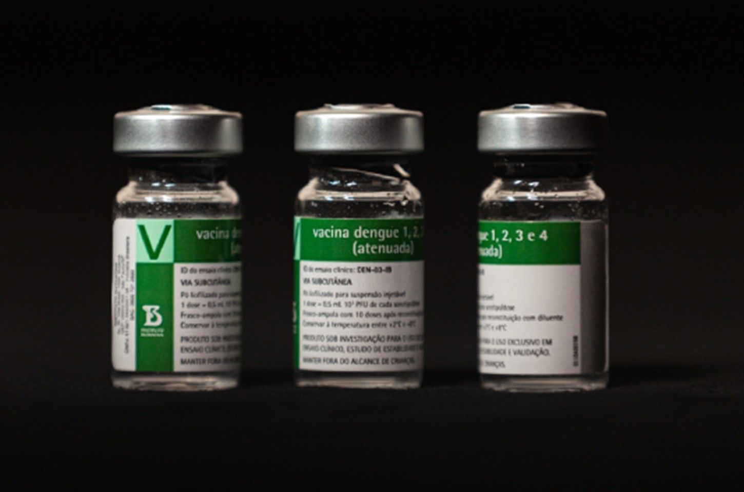 Vacina brasileira contra dengue começa a ser aplicada em três cidades