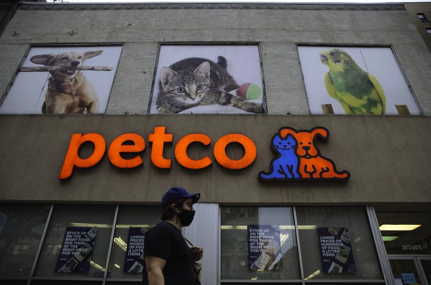 Vazamento de dados da Vetco expõe informações médicas de pets e tutores
