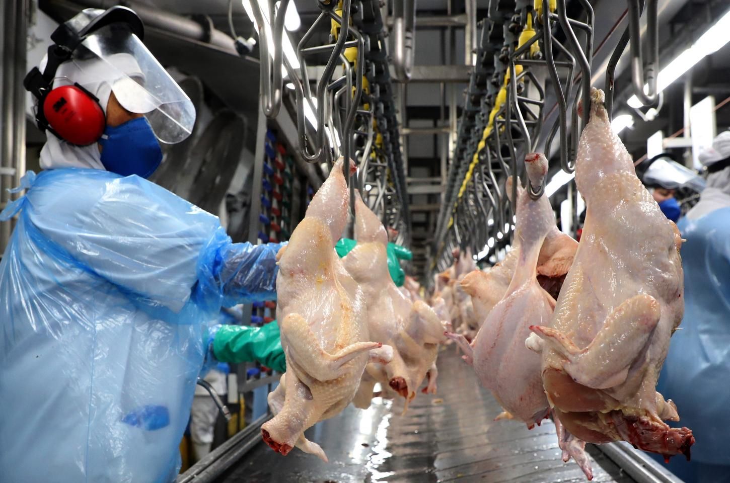 Vendas interestaduais do Paraná crescem 211% em 7 anos e chegam a R$ 978 bilhões