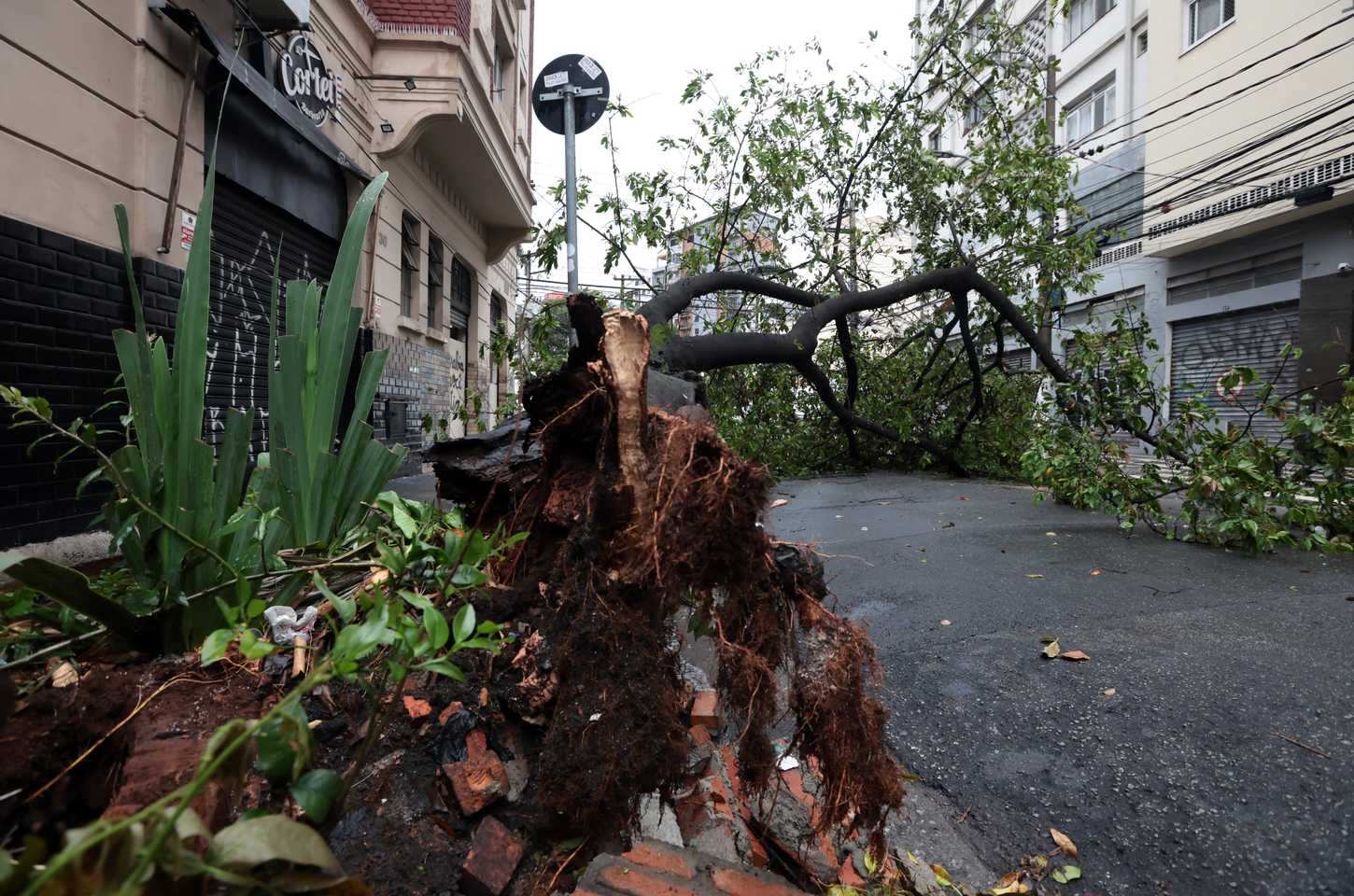 Ventos fortes atingem São Paulo e deixam rastro de destruição