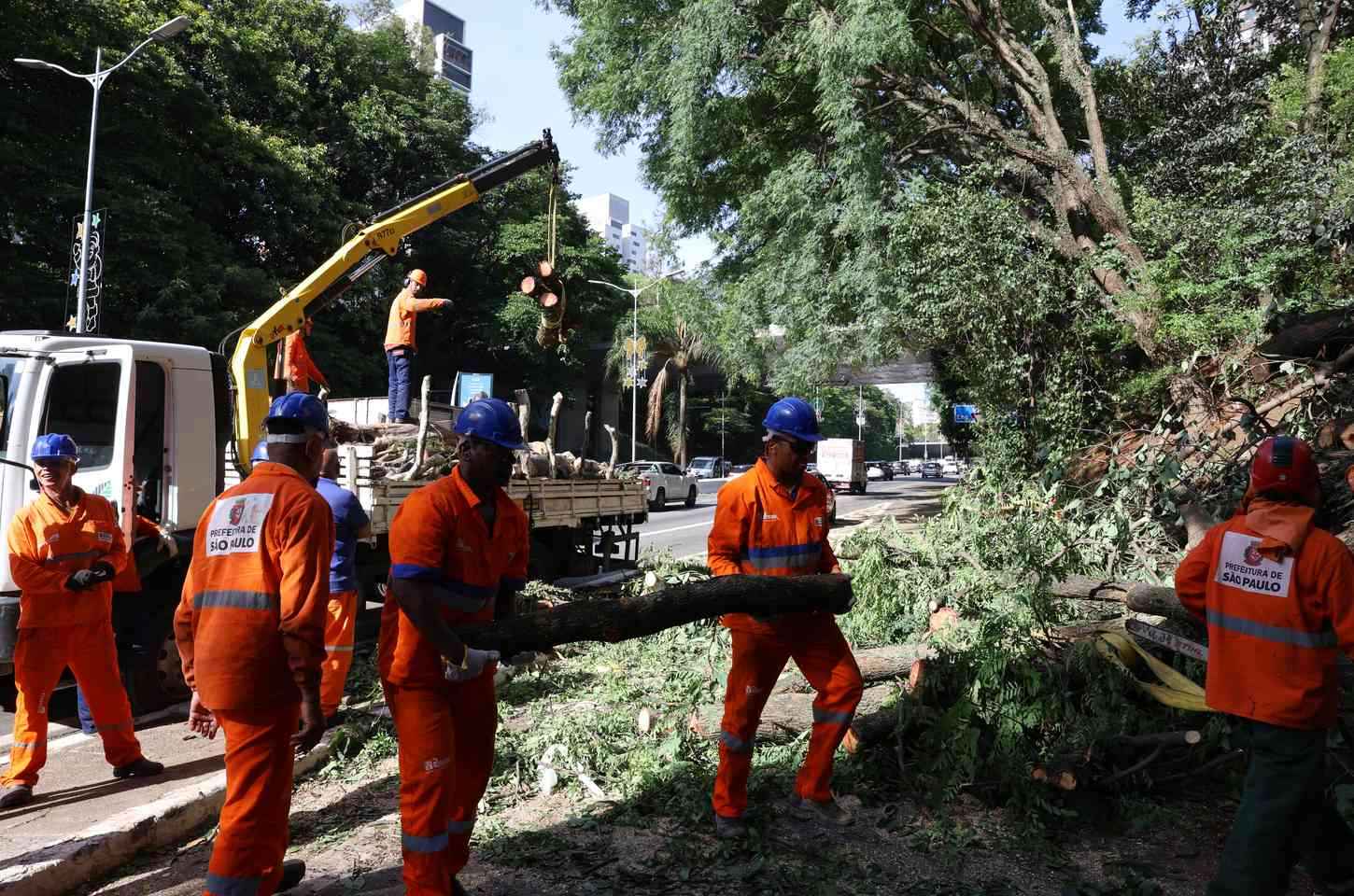 Ventos fortes deixam 1,5 milhão sem luz na Grande São Paulo