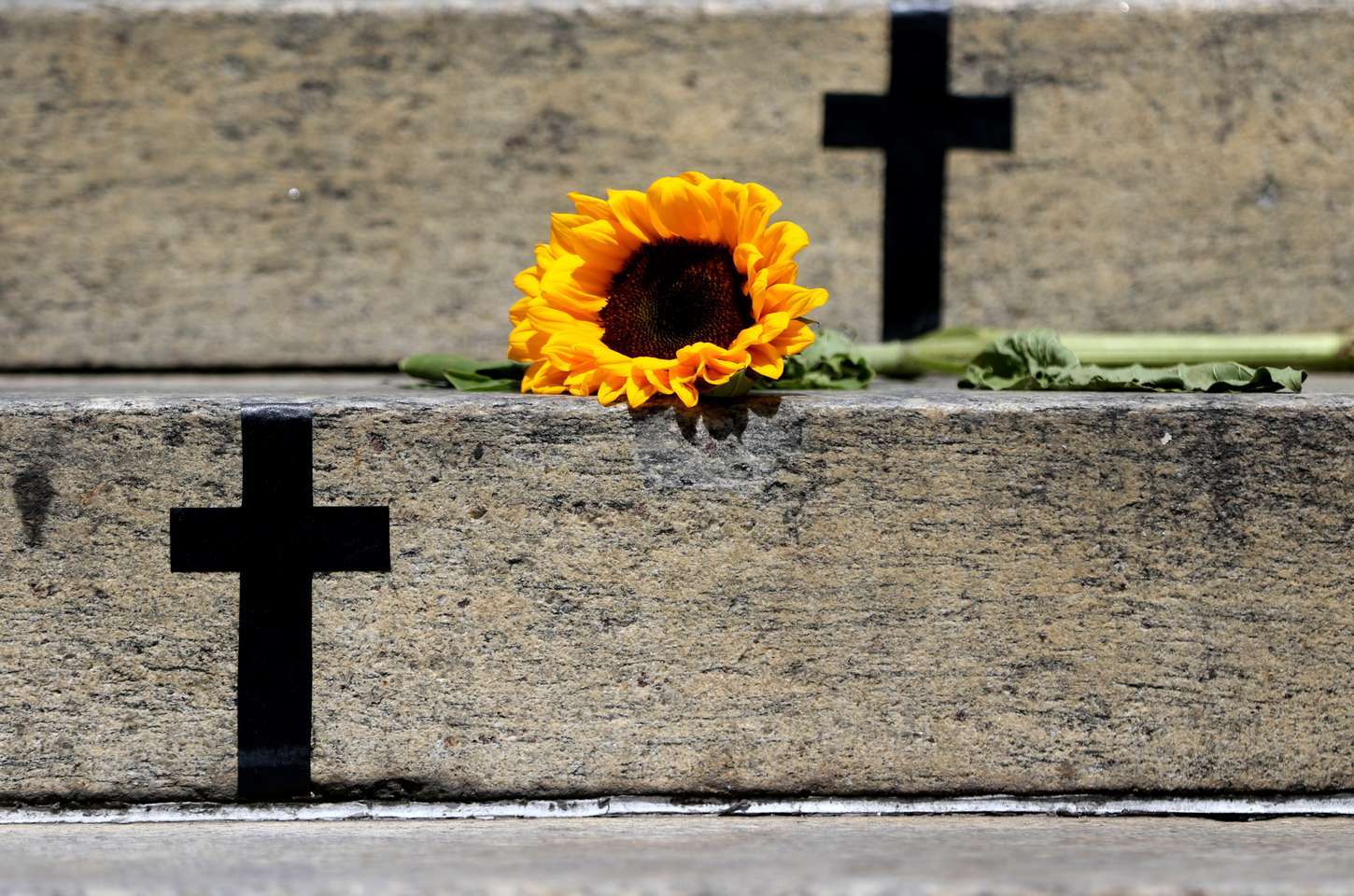 Violência vicária: quando filhos viram alvo para punir a mãe