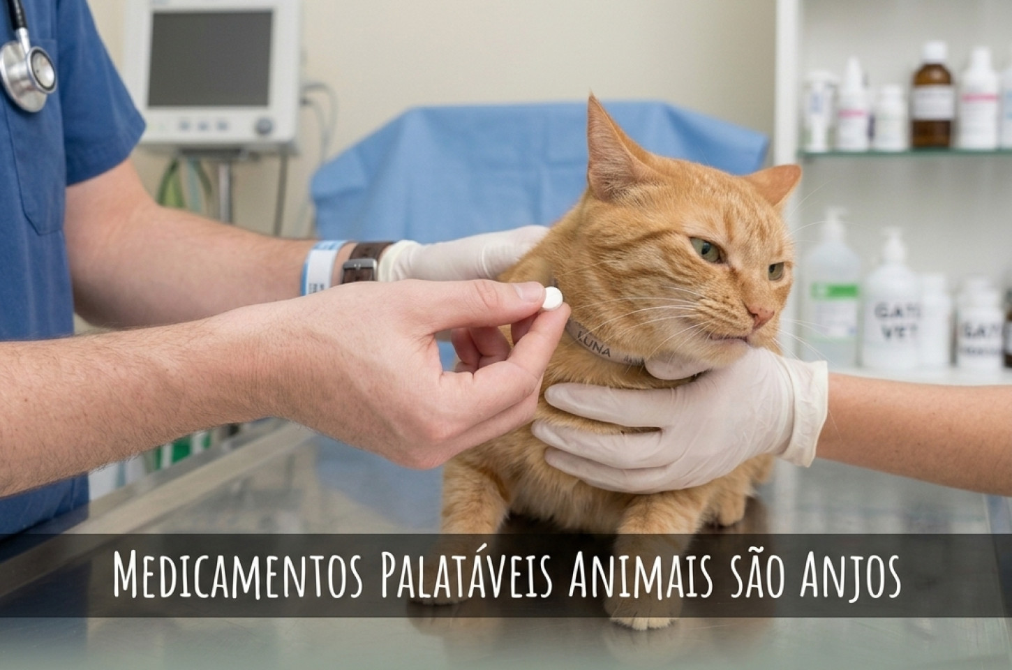 Você já tentou dar comprimidos para um gato?